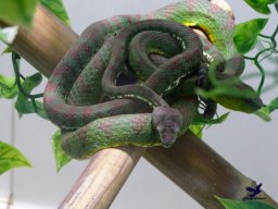 Tiergarten Schönbrunn am 03.10.2025